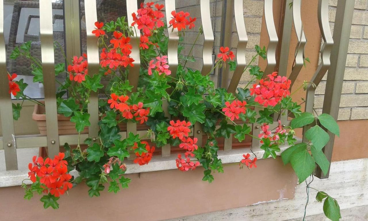 Villa Lucia Affitta Camere Formia Ngoại thất bức ảnh